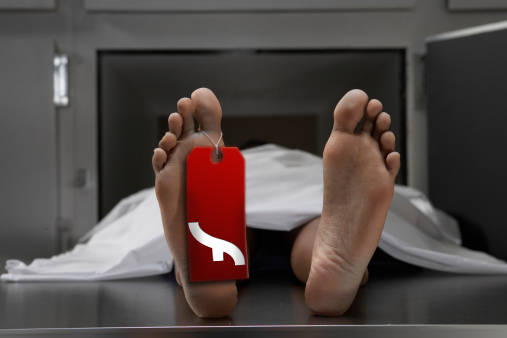 R.I.P. Adobe Flash