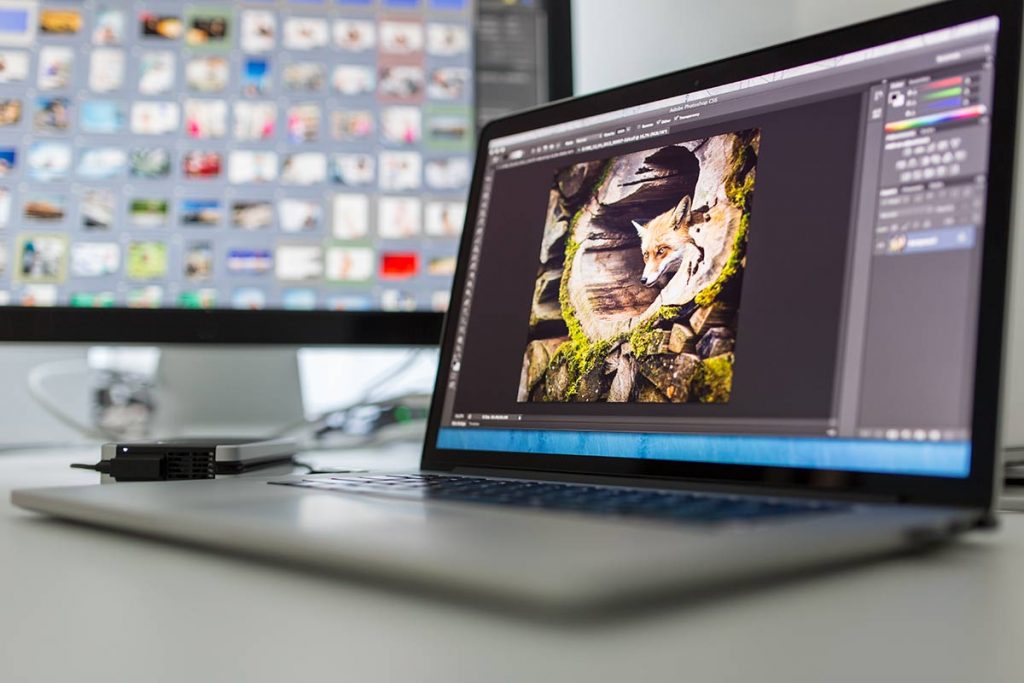 computer displaying an image of a fox